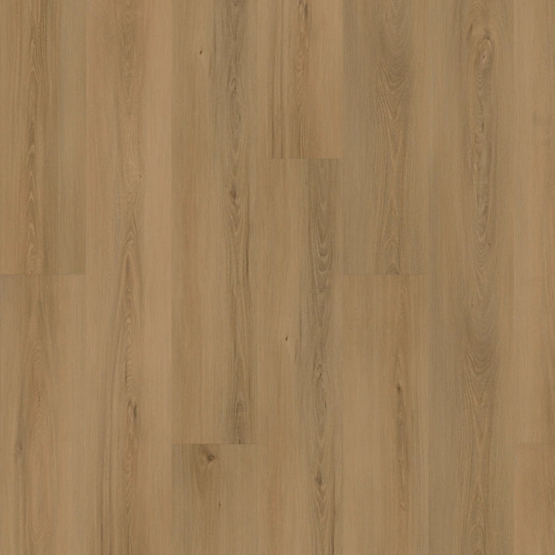 SolidTech Plus   Serie  (DAT)