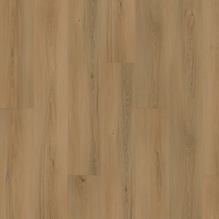 SolidTech Plus   Serie  (DAT)