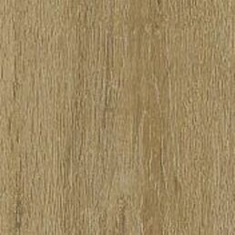 Manington Tise     Archer     Series  (ACF)