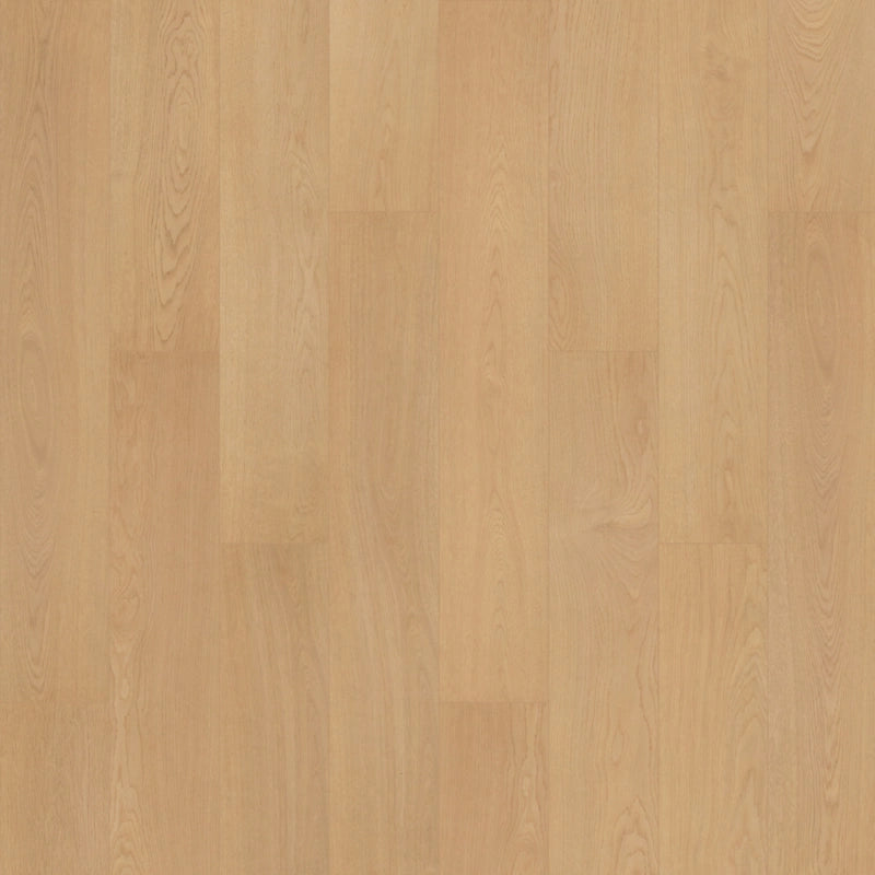 SolidTech R Plus   Serie  (DAT)