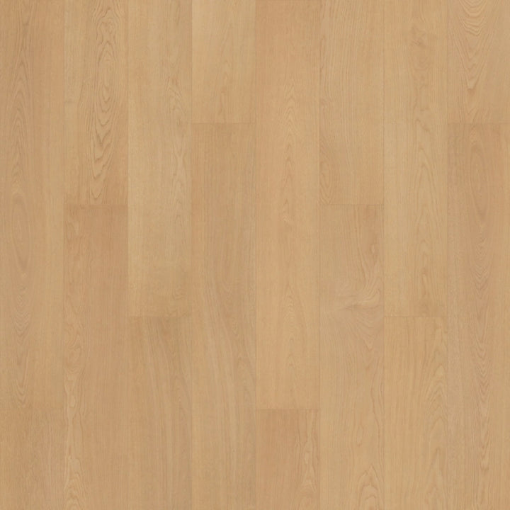 SolidTech R Plus   Serie  (DAT)