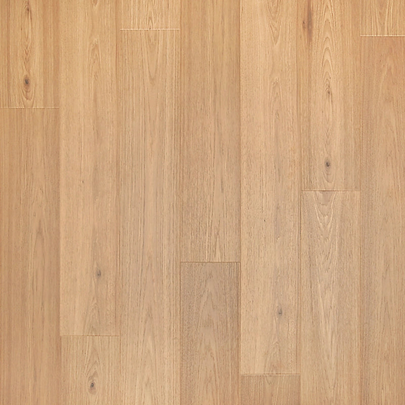 PureTech Premier   Serie  (DAT)
