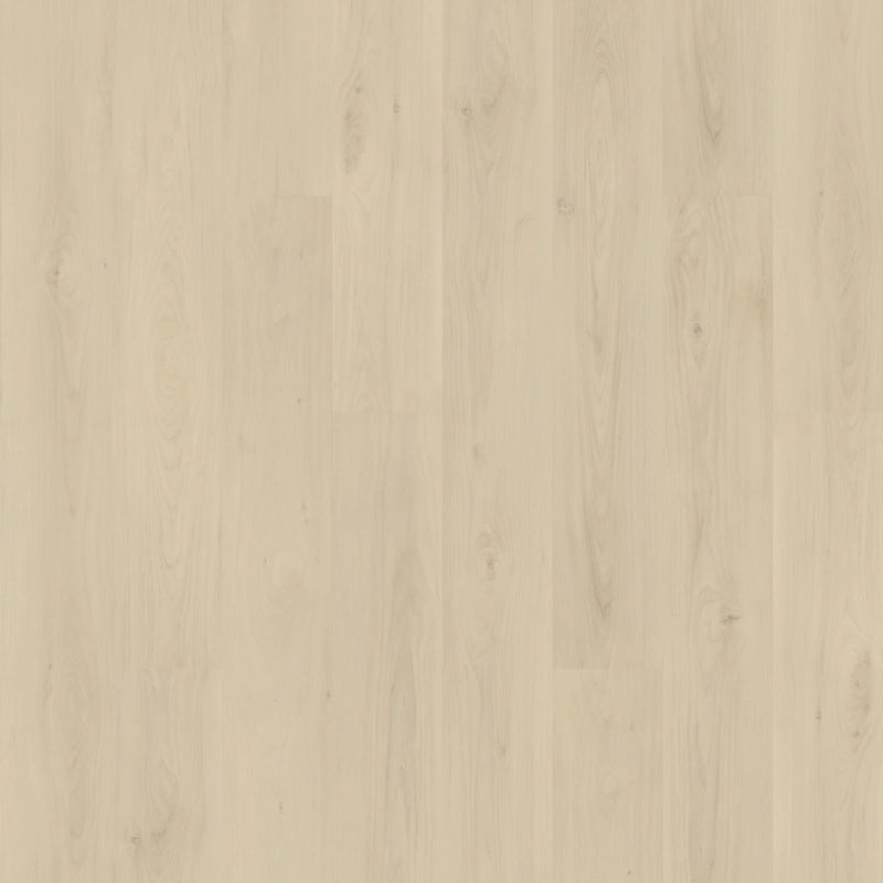SolidTech Plus   Serie  (DAT)