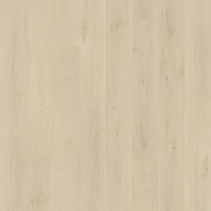 SolidTech Plus   Serie  (DAT)