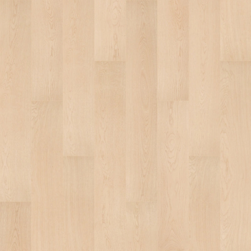 SolidTech R Plus   Serie  (DAT)