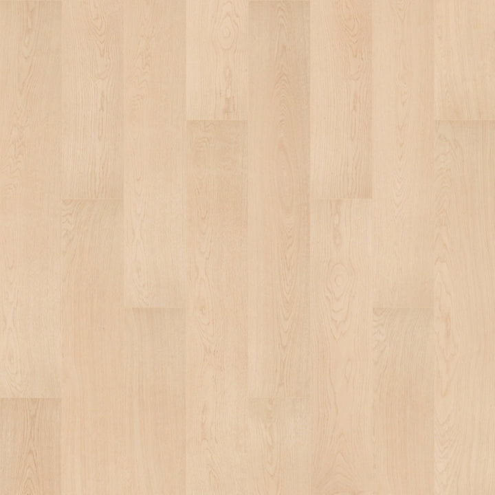 SolidTech R Plus   Serie  (DAT)