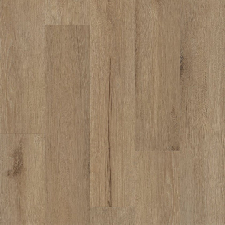 Shawfloors    Maltese    Series  (Shaw)