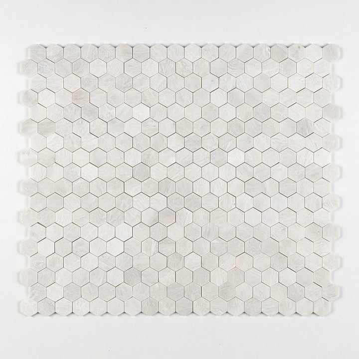 Iceberg Honed Hexagon 2 Marble Mosaic (MYS)