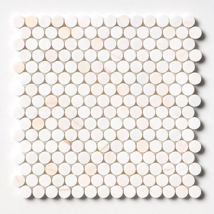 Confetti Honed Penny Round Marble Mosaic (MYS)