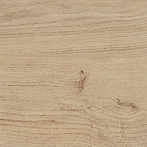 Merola Tile          Forest       Series