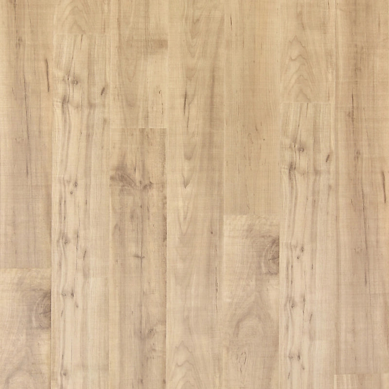 PureTech Plus    Serie  (DAT)