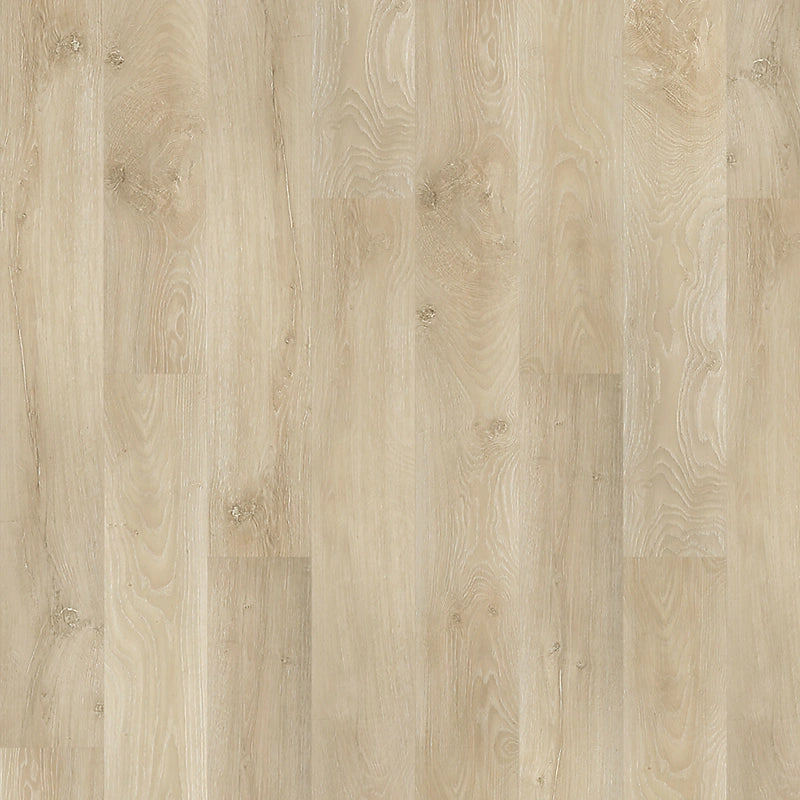 PureTech Plus   Serie  (DAT)