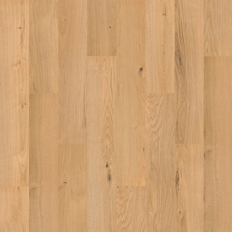 SolidTech R Plus   Serie  (DAT)
