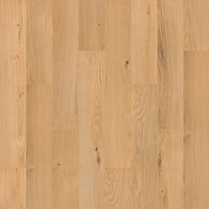 SolidTech R Plus   Serie  (DAT)