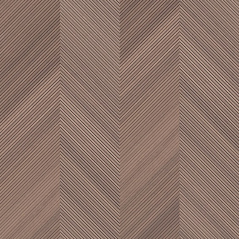 Vector  ®   Series   (TTS)