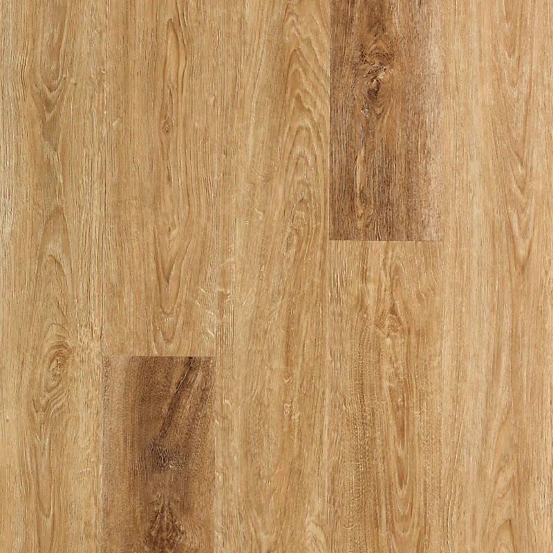 SolidTech Select   Serie  (DAT)