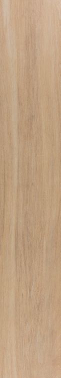 Elysium         Faedo       Series ®    (EL)