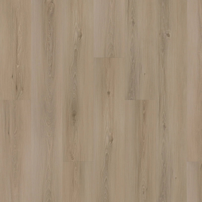 SolidTech Plus   Serie  (DAT)