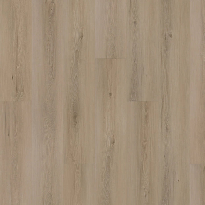 SolidTech Plus   Serie  (DAT)