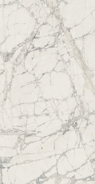 Elysium      Prexious         Series ®    (EL)