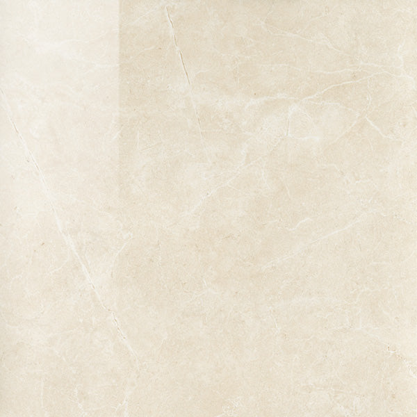 The Tile Store Porcelain Tile  Series