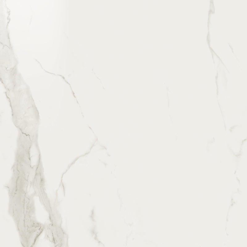 The Tile Store Porcelain Tile  Series