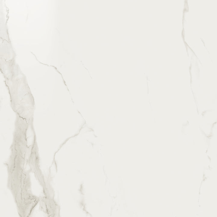 The Tile Store Porcelain Tile  Series