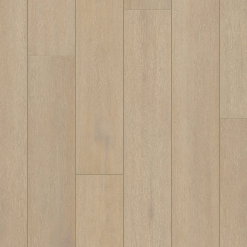 Shawfloors      Starting Line      Series  (Shaw)