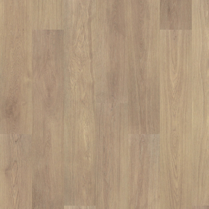 PureTech Premier   Serie  (DAT)