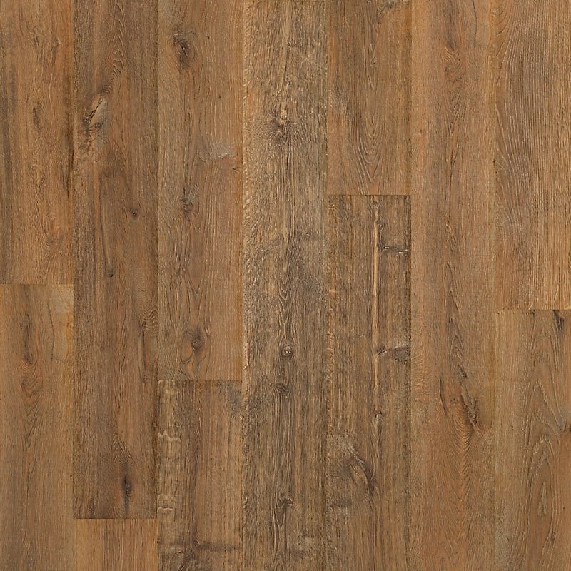 PureTech Plus    Serie  (DAT)