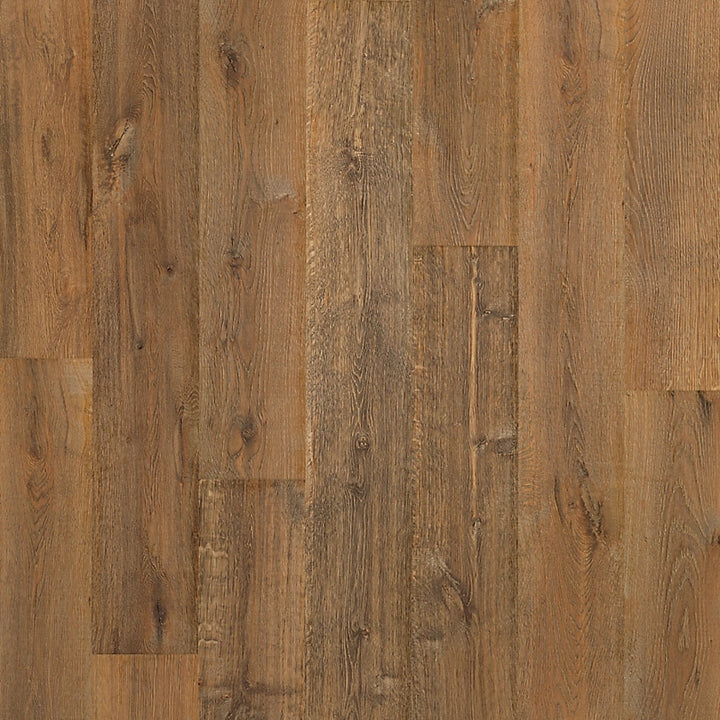 PureTech Plus    Serie  (DAT)