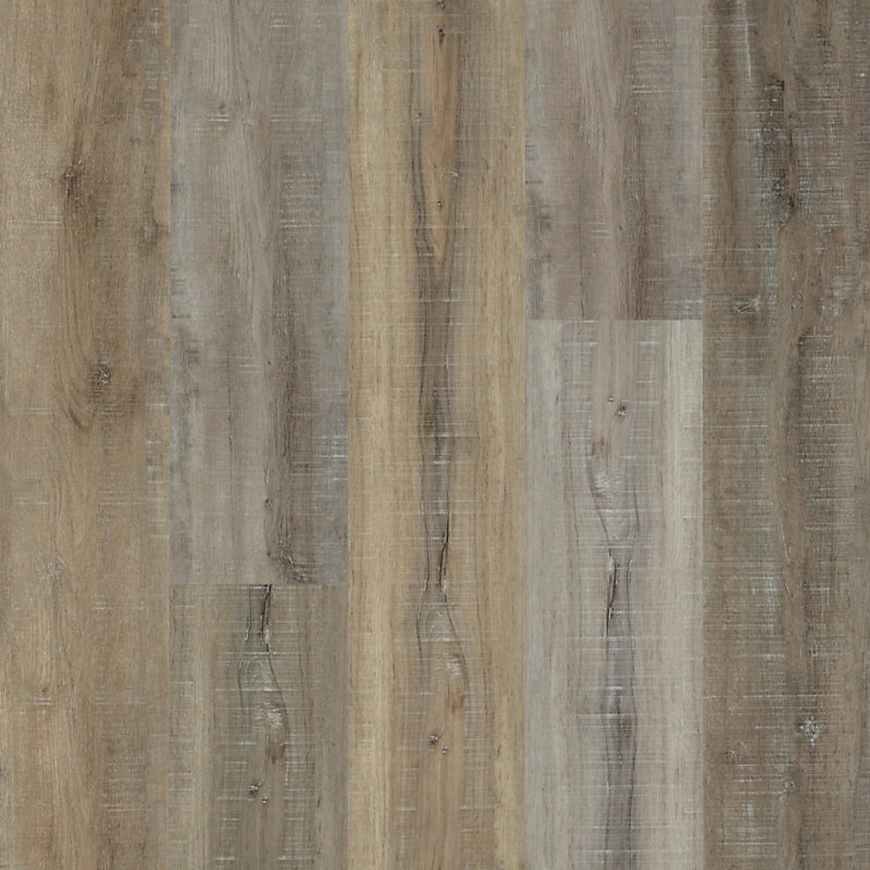 SolidTech Select   Serie  (DAT)