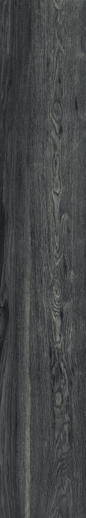 Elysium        Deck          Series ®    (EL)