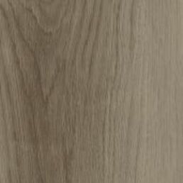 Manington Tise     Archer     Series  (ACF)