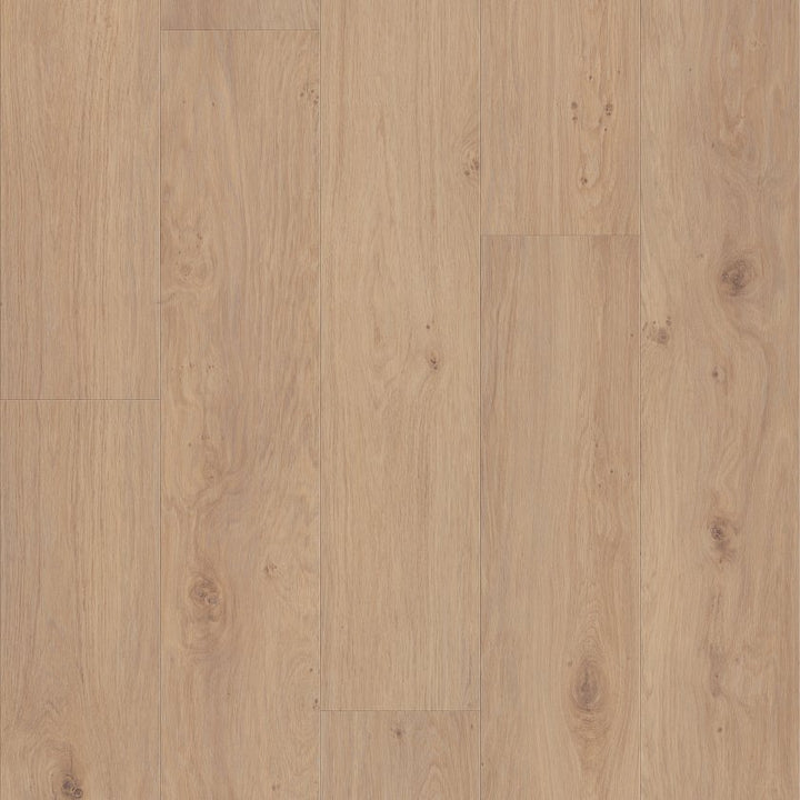 Shawfloors    Fresh Take    Series  (Shaw)