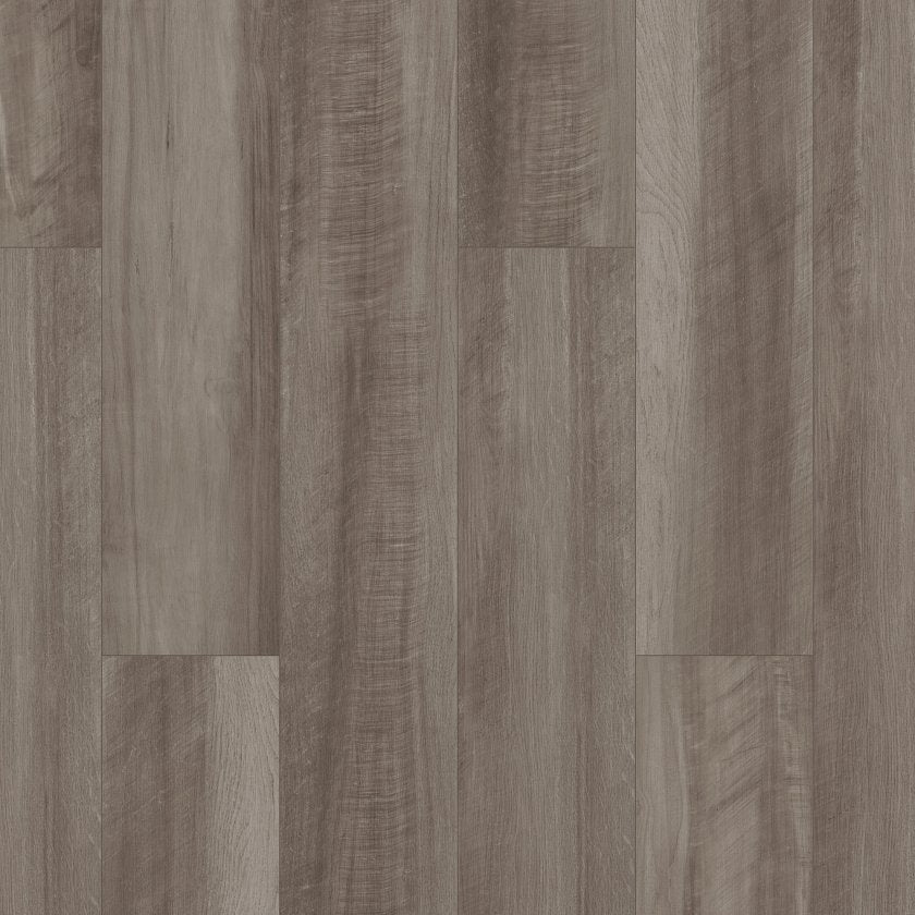 Shawfloors    Paladin Plus    Series  (Shaw)