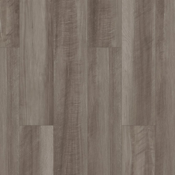 Shawfloors    Paladin Plus    Series  (Shaw)