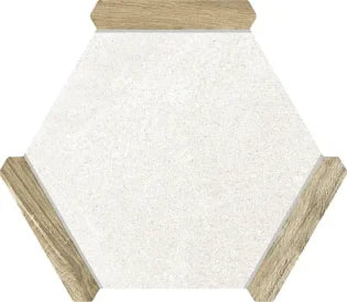 Avant ®   Series   (TTS)