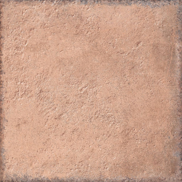 Cotte  ®    (CTS)