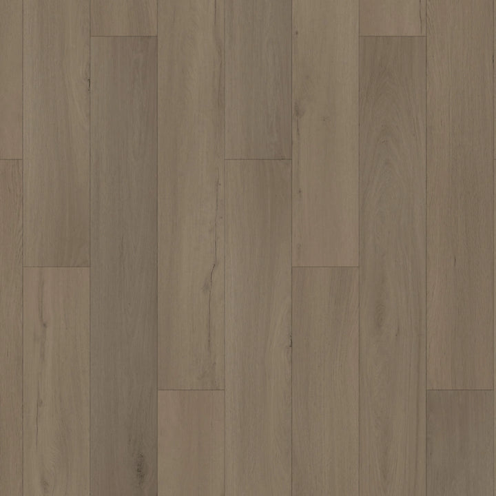 SolidTech Essentials   Serie  (DAT)