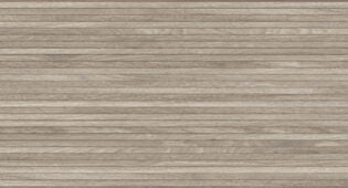 Linnear ®   Series   (TTS)