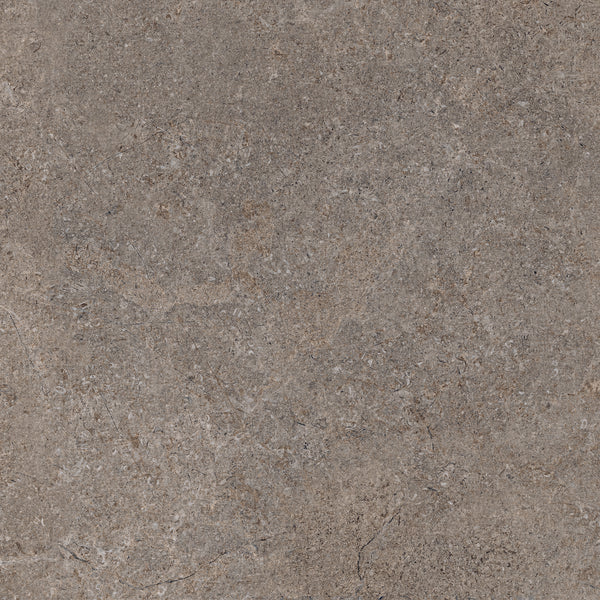 Juno      Tibet      Series ®    (JN)