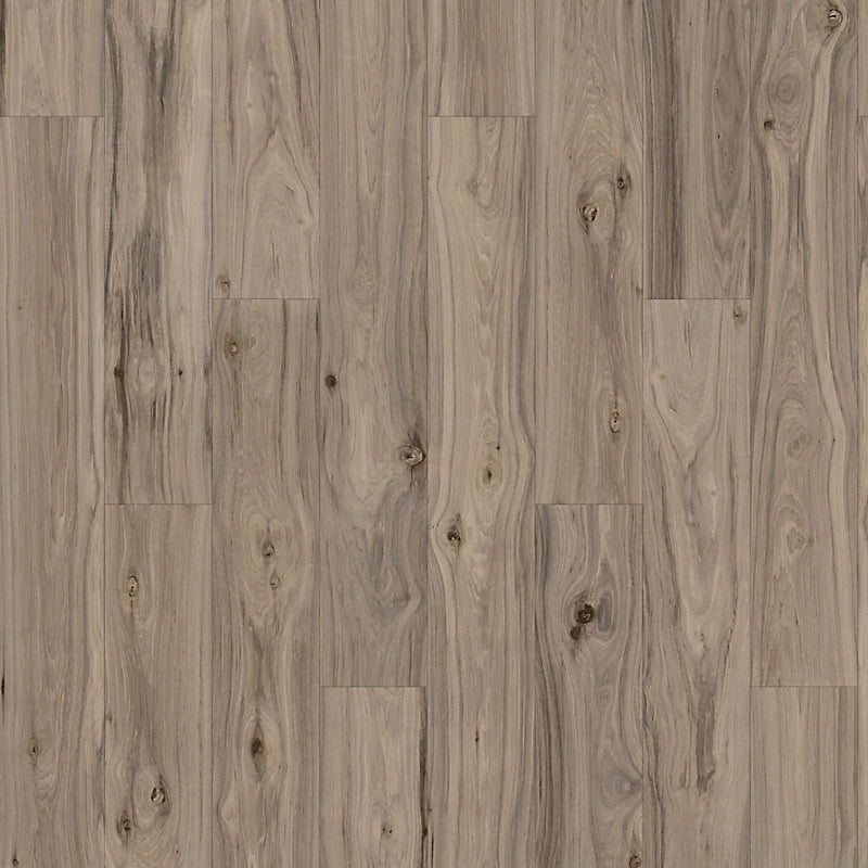 PureTech Plus   Serie  (DAT)