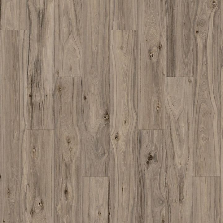 PureTech Plus   Serie  (DAT)
