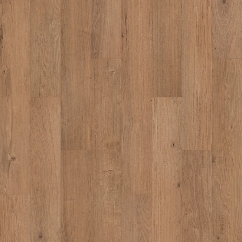 SolidTech R Plus   Serie  (DAT)