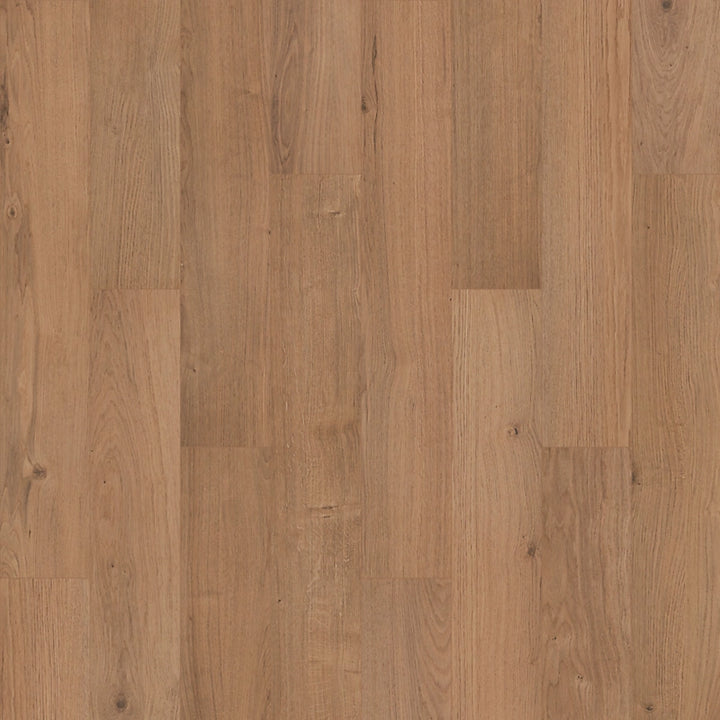 SolidTech R Plus   Serie  (DAT)