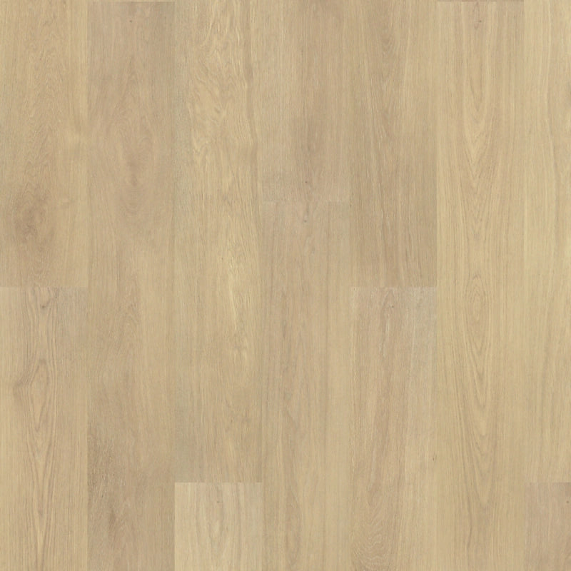 PureTech Premier   Serie  (DAT)