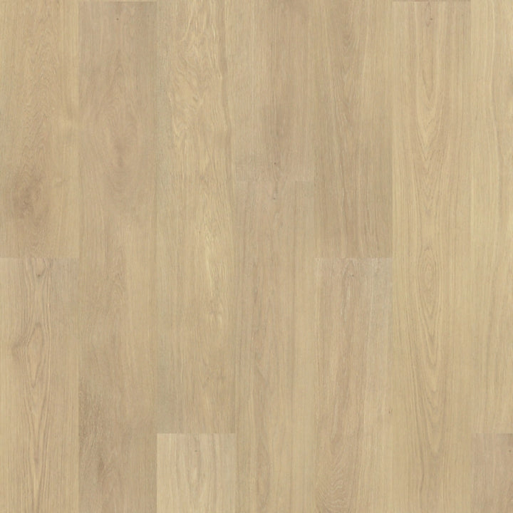 PureTech Premier   Serie  (DAT)