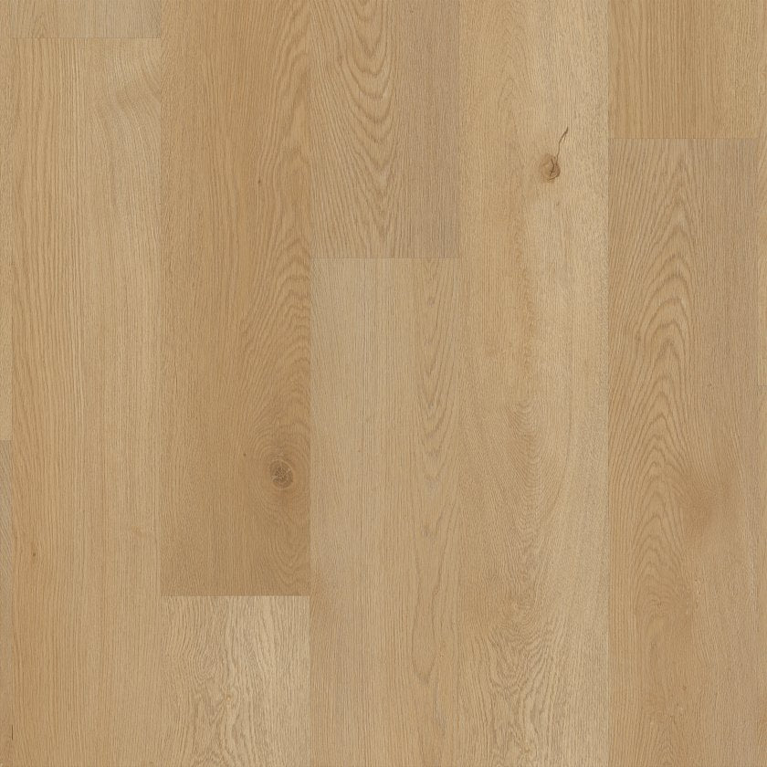Shawfloors    Anvil Plus 20 Mil    Series  (Shaw)