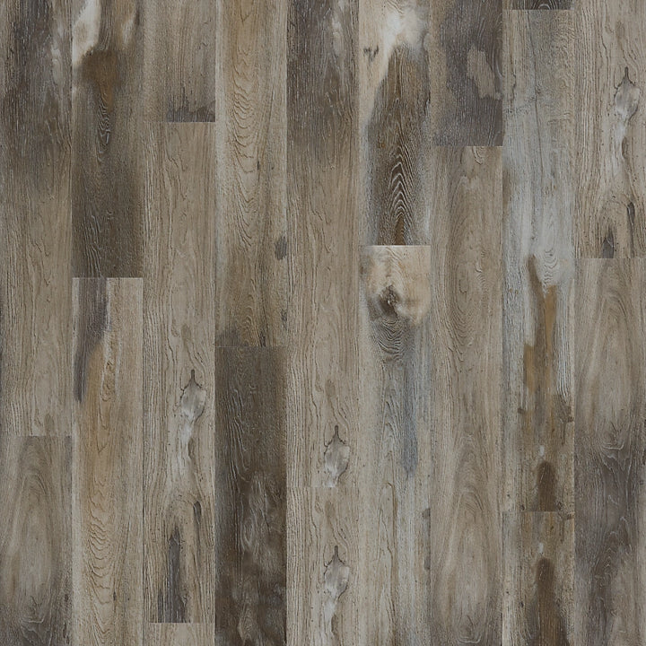 SolidTech Select   Serie  (DAT)